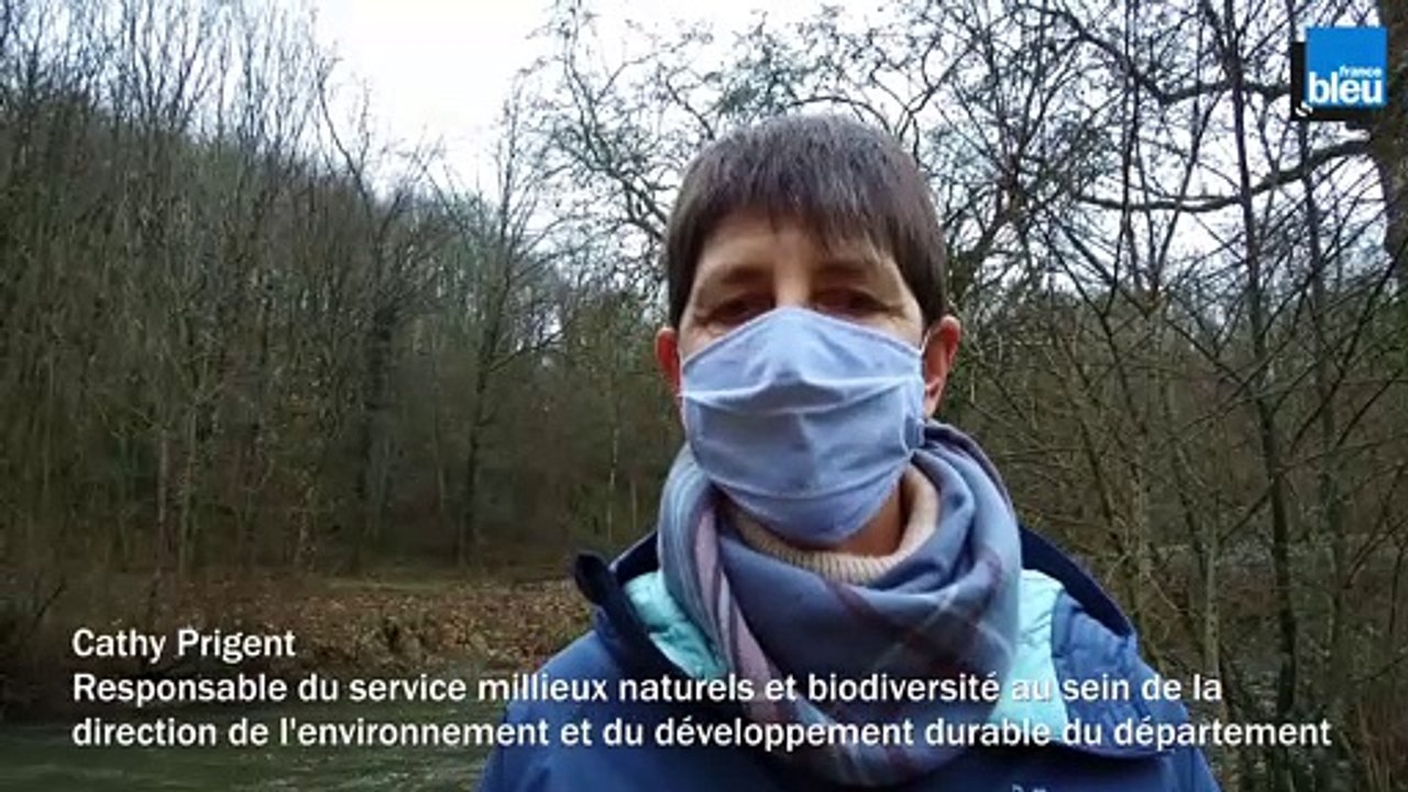 Cathy Prigent - Responsable du service milieux naturels et biodiversité au sein de la direction de l'environnement et du développement durable du département