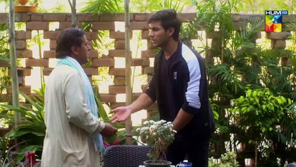 Bhool Jaa Ay Dil Episode 49 HUM TV Drama 21 January 2021