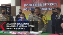 Ayah Bejat Cabuli Anak Kandung Di Saat Isteri Ke Pasar