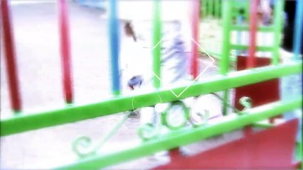 Journal du jeudi 21  janvier 2021