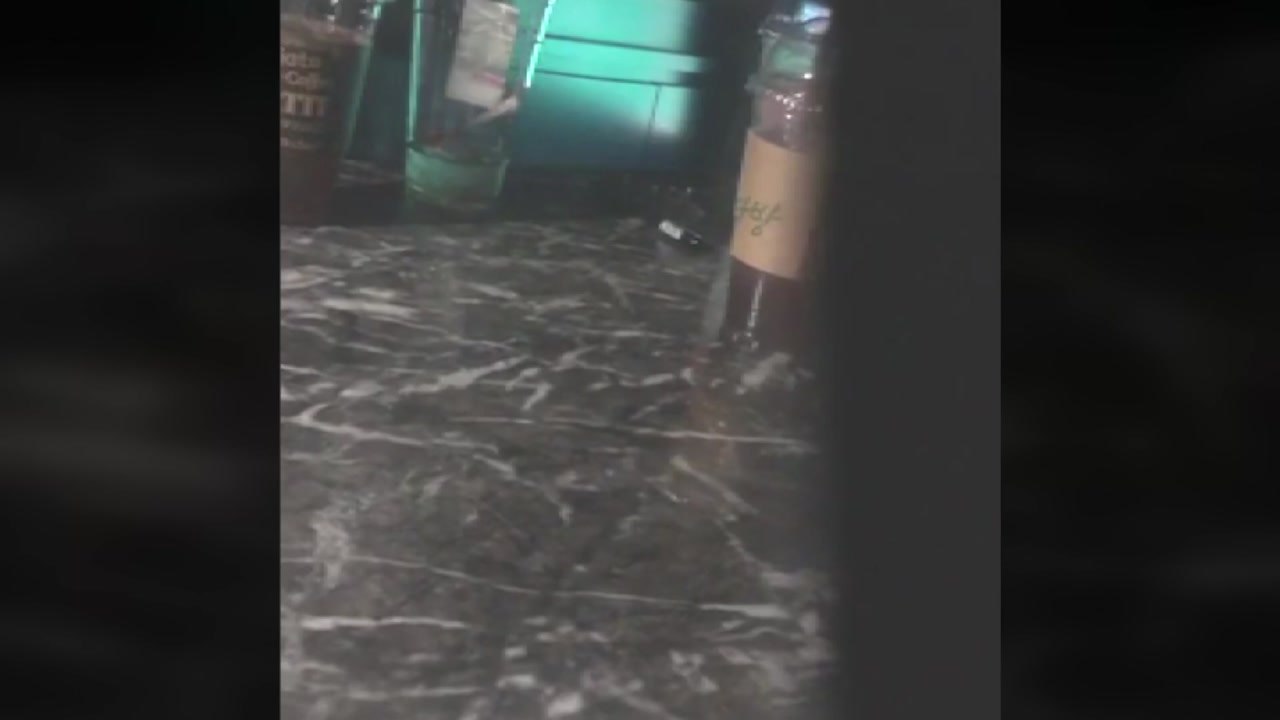 강남 유흥주점 불법 영업 적발...안에서 40여 명 우르르 / YTN