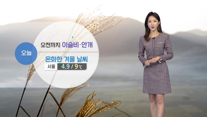 [날씨] 오전까지 이슬비·안개...포근하지만 초미세먼지↑ / YTN