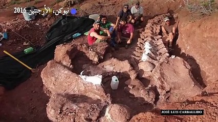 هل هذا هو أكبر ديناصور على الإطلاق؟