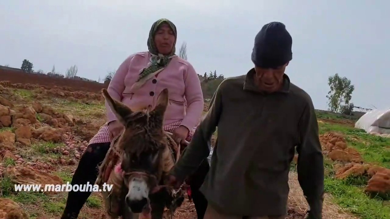 الحمار في خطار  مع لالة نعيمة - نعيمة البدوية