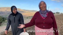 الزواج بالنية والحرث بالنية - نعيمة البدوية