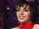 Liza Minnelli - If I Were In Your Shoes