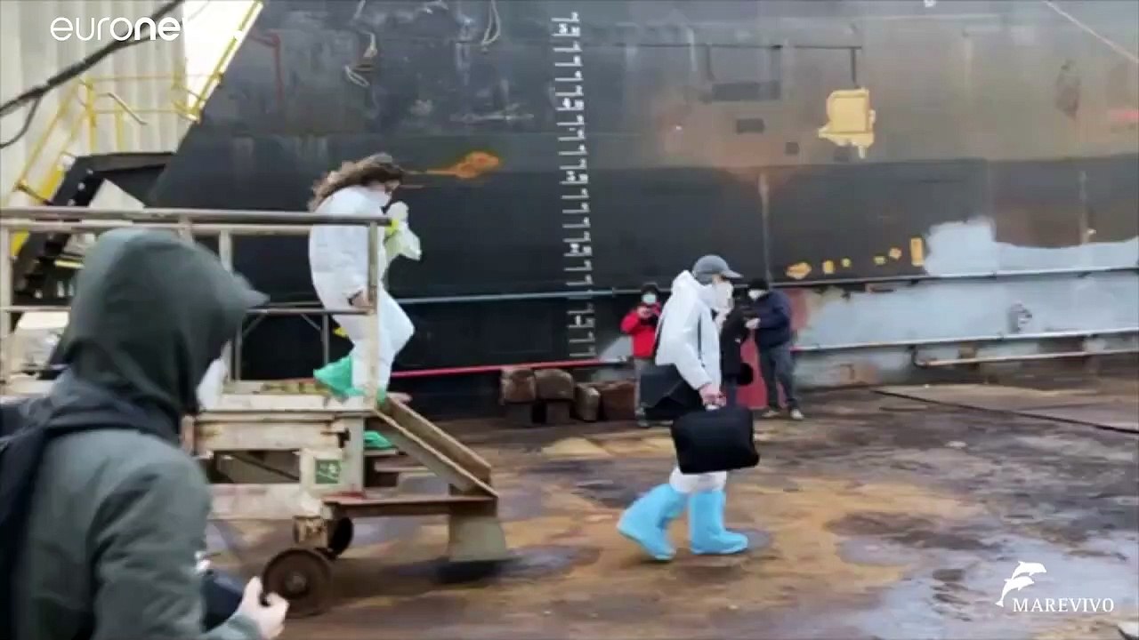 20 Meter langer Wal tot im Golf von Neapel entdeckt