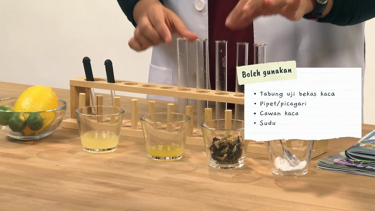 Wahh, Airnya Bertukar Warna!! | Eksperimen Bunga Telang Bersama Kelab Sains Pintar