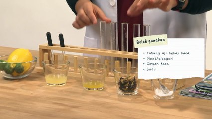 Wahh, Airnya Bertukar Warna!! | Eksperimen Bunga Telang Bersama Kelab Sains Pintar