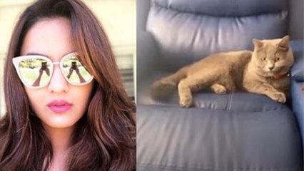 Bigg Boss 14; Jasmin Bhasin गई Aly के घर; Jasly फैंस के लिए खुशखबरी | FilmiBeat