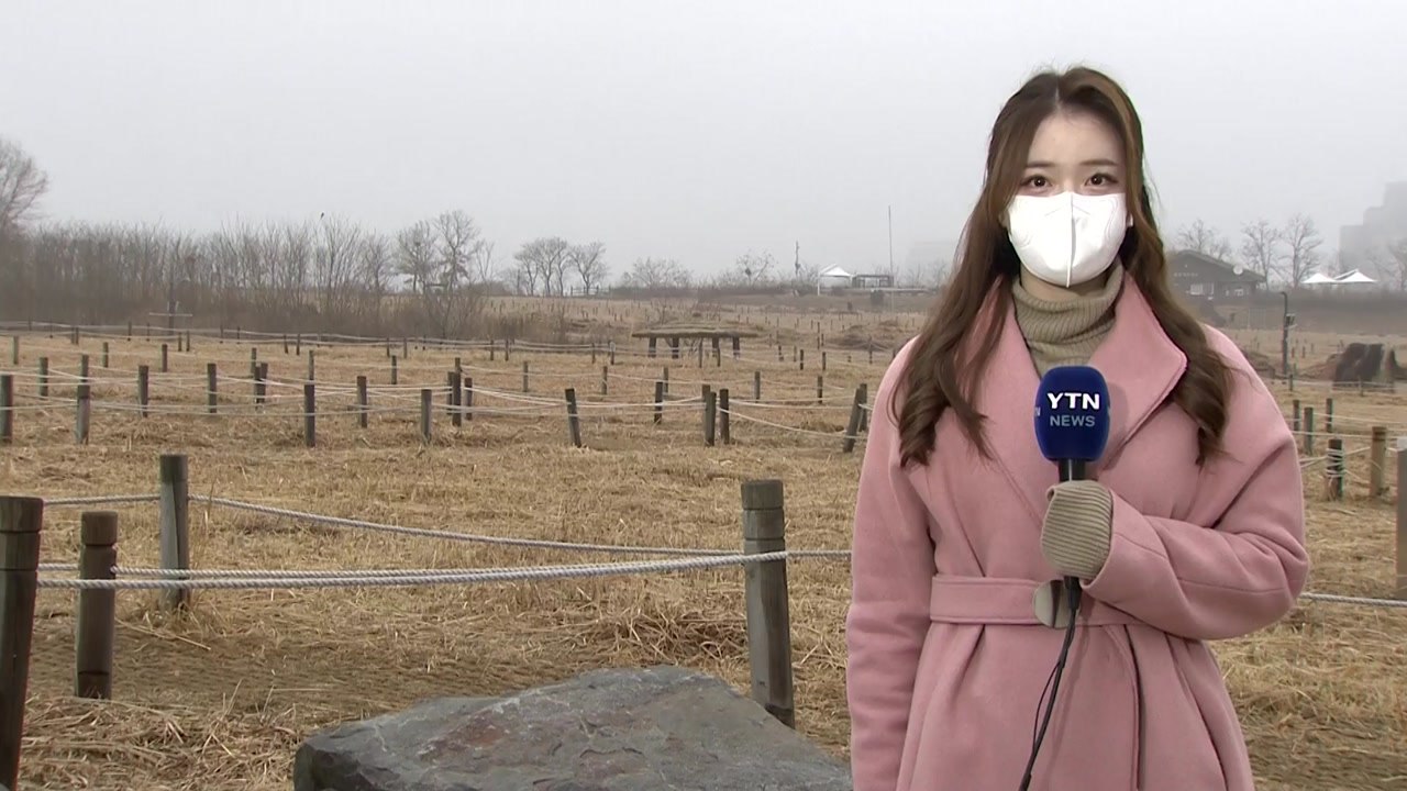 [날씨] 뿌연 하늘, 답답한 공기...영동 모레까지 폭설 / YTN