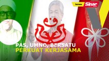 Pas, UMNO, Bersatu perkuat kerjasama