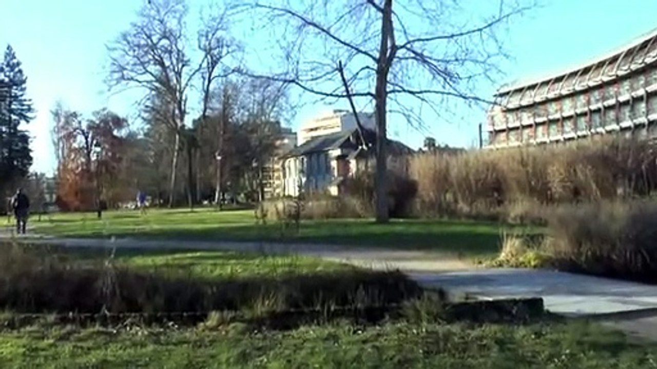 LES W-D.D. MICHOU64 NEWS - 19 JANVIER 2021 - PAU - LIMMEUBLE À L'ANGLE DU COURS BOSQUET ET DE LA RUE SAMONZET