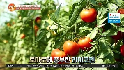 몸에 좋고 맛도 좋은 슈퍼푸드 토.마.토! 대체 얼마나 좋길래?