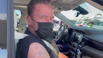 슈왈제네거 코로나19 백신 접종..."살고 싶으면 나를 따르라" / YTN