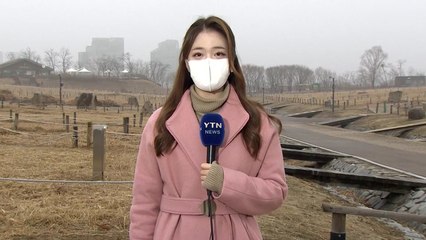 [날씨] 안개에 곳곳 초미세먼지...강원 산간 폭설 / YTN