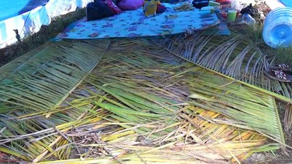 Minim Bantuan, Pengungsi Gempa di Majene Tidur Beralaskan Daun Kelapa