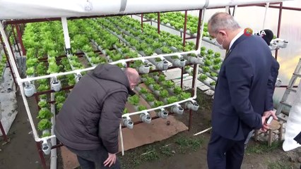 Doğu Karadeniz’de topraksız tarım dönemi