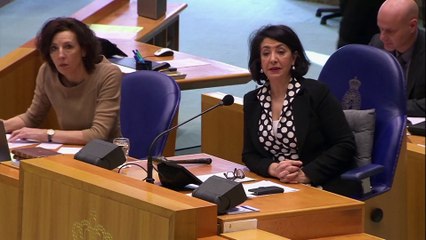 Covid-19 erhitzt die Gemüter: Gerangel im tschechischen Parlament