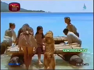 ROBINSON ANDARAYA 08