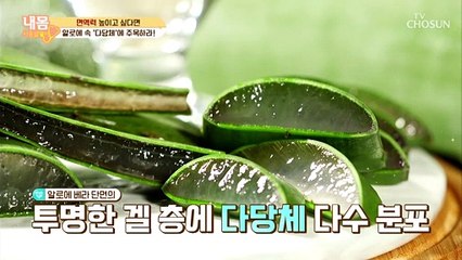 ‘감기·독감 예방’에 좋은 면역력 지킴이 ʚ알로에ɞ TV CHOSUN 20210122 방송