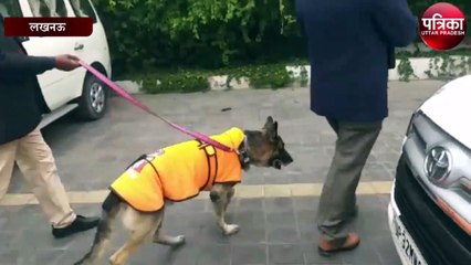 उत्तर प्रदेश के कई जिलों में बम मिलने की सूचना, प्रशासन एलर्ट