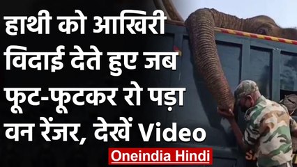 Download Video: Viral Video: हाथी की हुई मौत तो ऐसे फूट-फूटकर रोया Forest Ranger, देखें Viral Video । वनइंडिया हिंदी