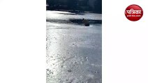 बर्फ से जमी झील में फंसे कुत्ते को फायर फाइटर ने निकाला बाहर, लोगों ने कहा शुक्रिया