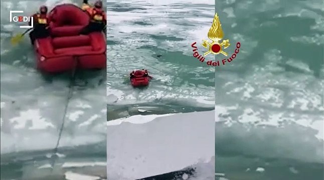 Auronzo Vigili del fuoco nel lago ghiacciato per recuperare un cervo