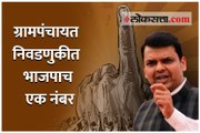 ग्रामपंचायत निवडणुकीत भाजपाच एक नंबर - देवेंद्र फडणवीस