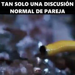 le film d'action avec Angelina Jolie et Brad lady et Mr Smith