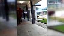Duvarı kırıp okulun bahçesine giren başıboş fil kamerada
