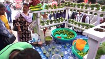 AAM PORA SHORBOT_ Summer Special Mango Juice Tasty Drinks In India - Indian Street Food Kolkata