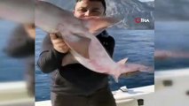 - Balıkçıların oltasına 1,5 metrelik köpek balığı takıldı