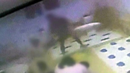 "몸집 만한 베개 휘두르고, 때려 넘어뜨리고"...지자체 감독 소홀도 조사 / YTN