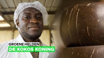 Groene helden: alles over kokosnoten