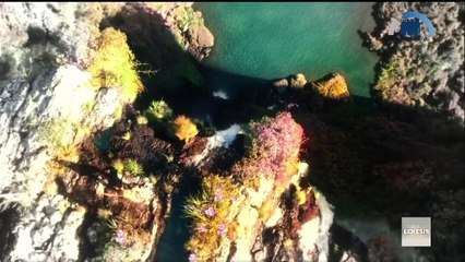 GENESIS - EPISÓDIO 03 - [21-01-2021] P2 COMPLETO HD