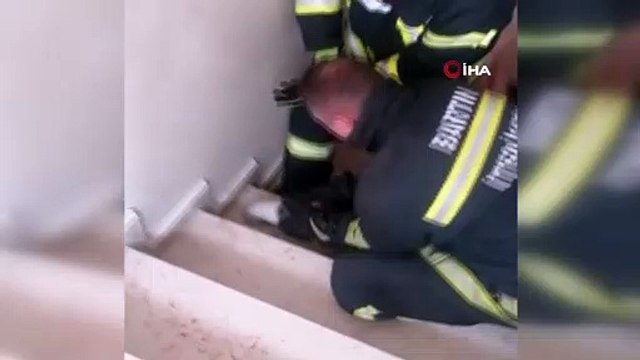 - Başı plastik boruya sıkışan kediyi itfaiye erleri kurtardı