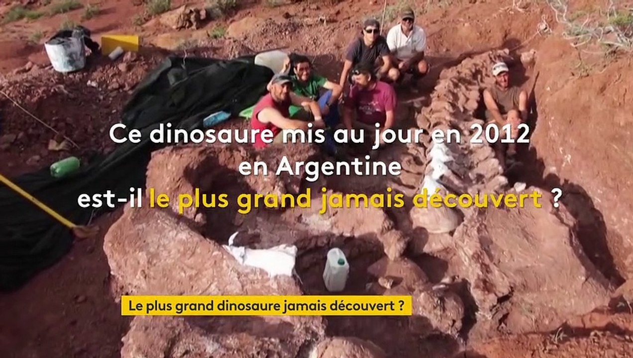 Le plus grand dinosaure jamais découvert a-t-il été mis au jour en Argentine ?