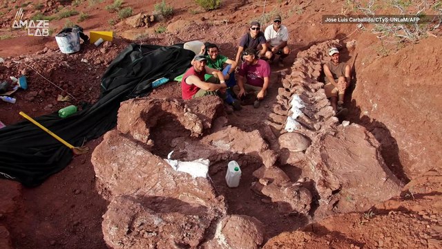 Massive Fossils Found in Argentina Could Belong to New Largest Dino on Record