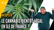 Je sais pas si t'as vu... Le cannabis bientôt légal en Île de France ?