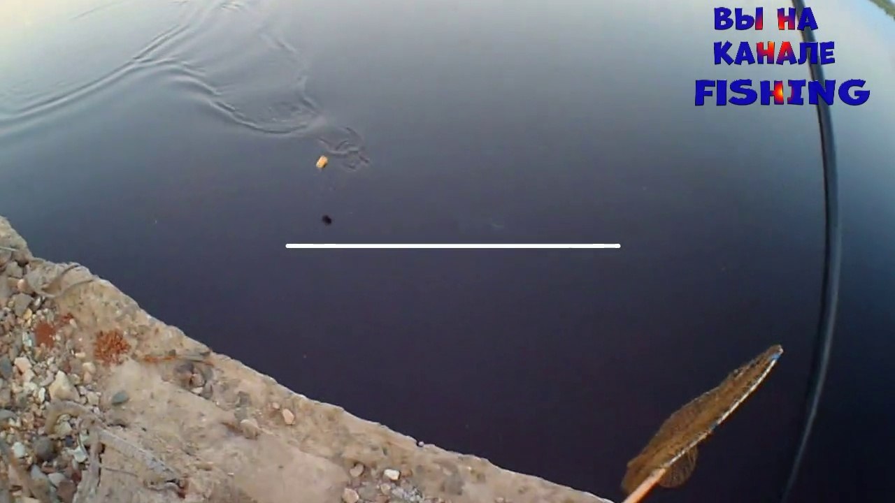 насадка для рыбалки