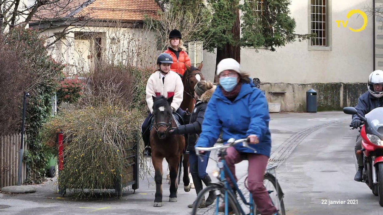 Sans commentaire: Onex Village