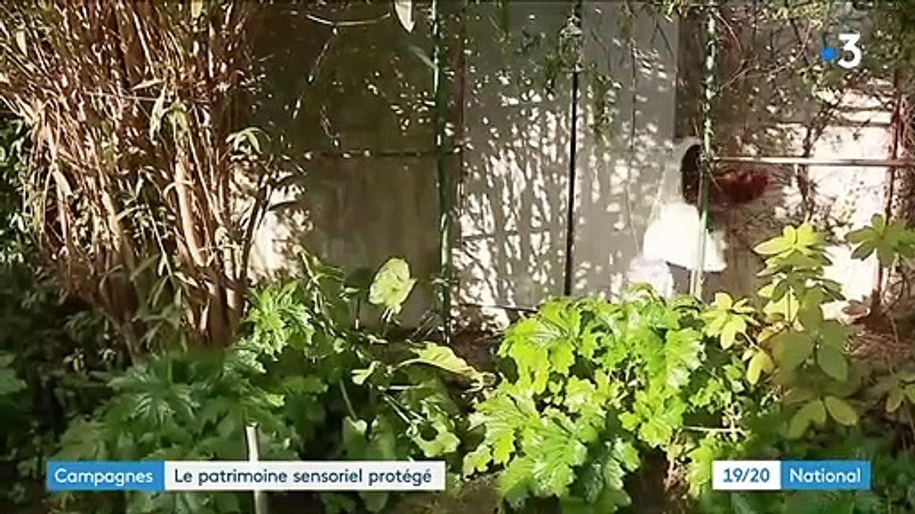 Justice : les bruits de nos campagnes désormais protégés par la loi