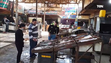 تعرف على أنواع الأسماك وأسعارها وطقوس أكلها في الغردقة