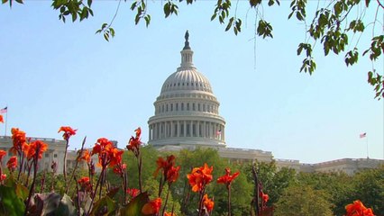 'Impeachment' Vodka Is an Inauguration Celebration in a Bottle
