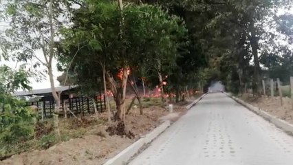 Oleoducto Caño Limón Coveñas sufre un cuarto atentado en lo que va del año