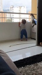 Cat Keeps Little Human Safe