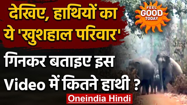 Viral Video: एक Happy Elephant Family का Video हुआ Viral, बताइए कितने हाथी हैं ? । वनइंडिया हिंदी
