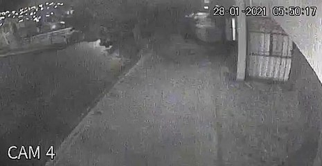 Árbol cedió ante los fuertes vientos en Pachuca